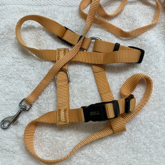 Harness with leash in gold/yellow NWOT - Picture 8 of 8